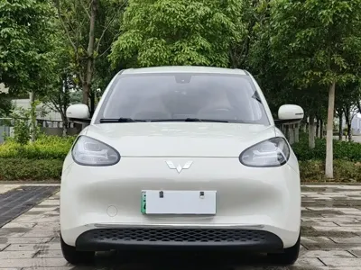 Wuling Bingo