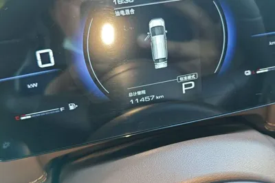 Wuling Wuling Starlight 730