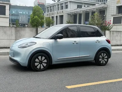 Wuling Bingo
