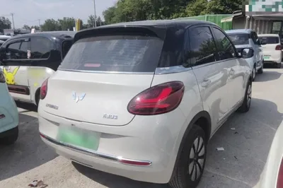 Wuling Bingo