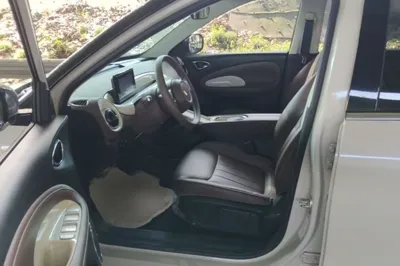 Wuling Bingo