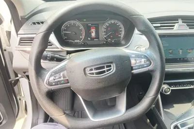 Geely Auto Binray