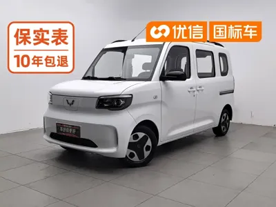 Wuling Zhiguang EV