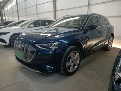 Audi e-tron (Import)