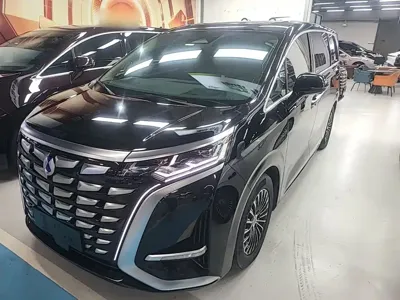 Denza Denza D9
