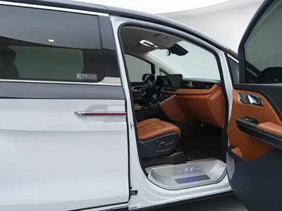 Hongqi Hongqi HQ9