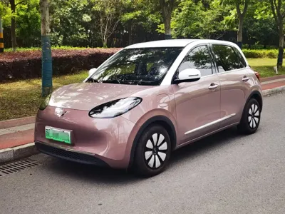 Wuling Bingo