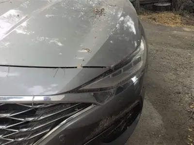 Hyundai Fista