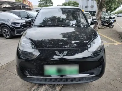 Wuling Bingo