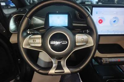 BYD Dolphin