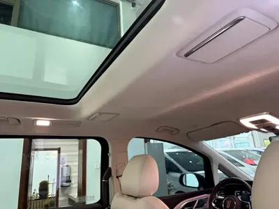 Hongqi Hongqi HQ9