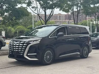 Denza Denza D9