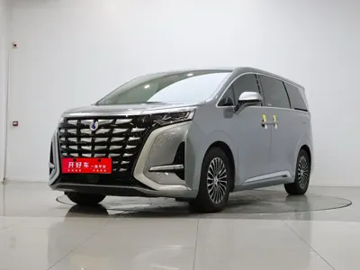 Denza Denza D9
