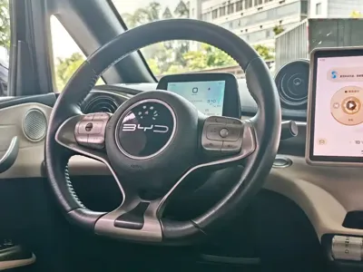 BYD Dolphin