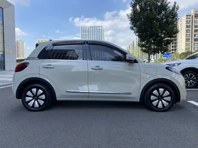 Wuling Bingo