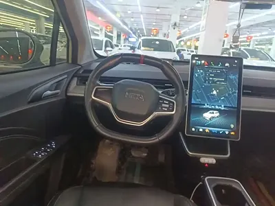 NETA Neta V