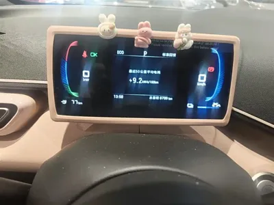 BYD Seagull