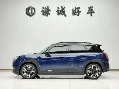MINI MINI ACEMAN EV