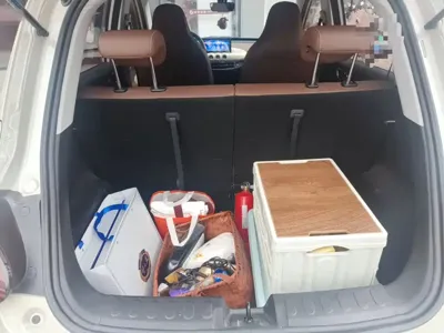 Wuling Bingo