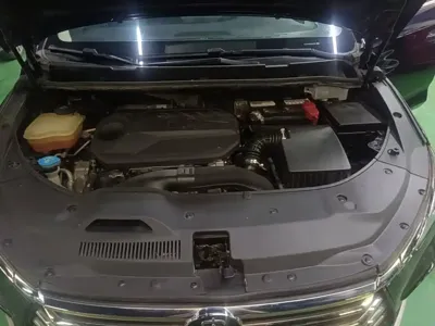 BYD MAX