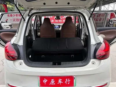 Wuling Bingo