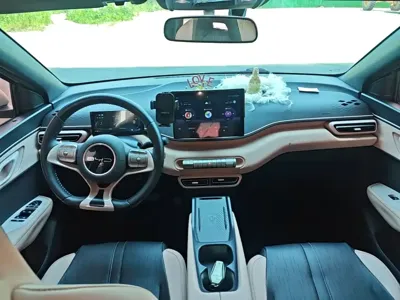 BYD Seagull
