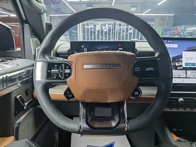 Mengshi Mengshi 917