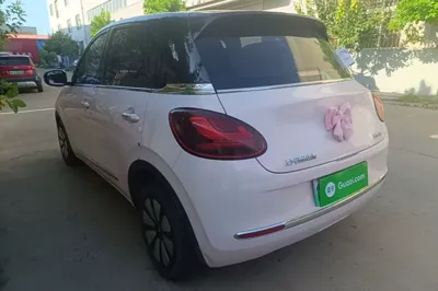 Wuling Bingo