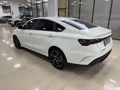 Geely Binrui