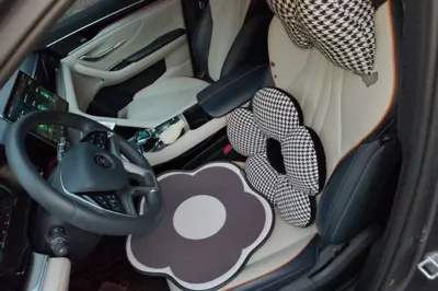 BYD Song PLUS New Energy