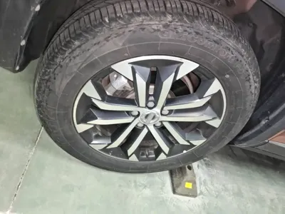 Haval Big Dog
