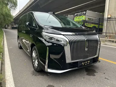 WEY 魏牌 高山新能源