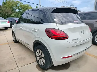 Wuling Bingo
