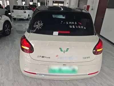 Wuling Bingo