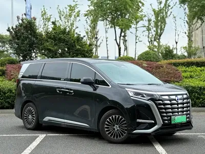 Denza Denza D9
