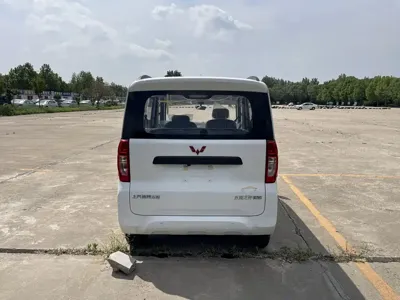 Wuling Zhiguang EV