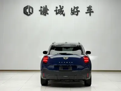 MINI MINI ACEMAN EV