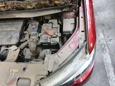 Haval H1