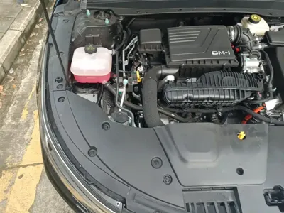 BYD Destroyer 05