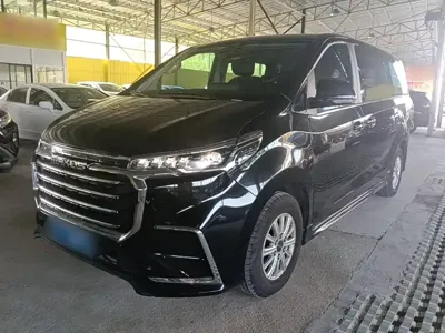 大通 G20