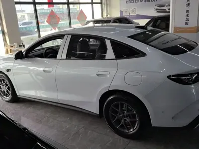 BYD 海豹06