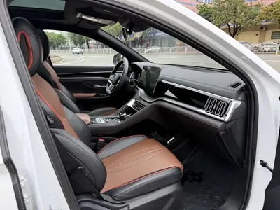 BYD PLUS