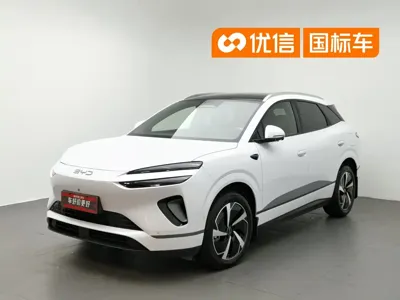 BYD 海狮06