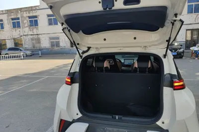 BYD Seagull