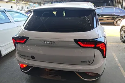 NETA V