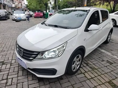 Baojun 310