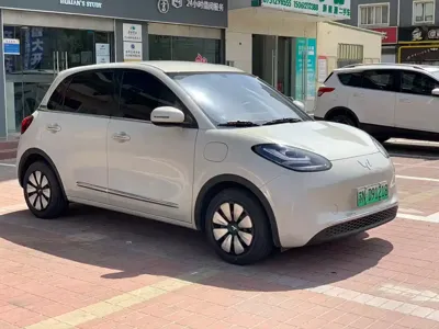 Wuling Bingo
