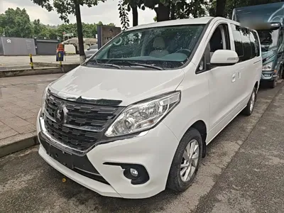 Fengxing Lingzhi PLUS