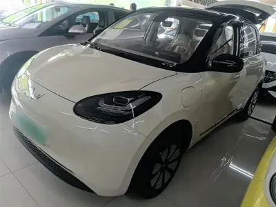 Wuling Bingo