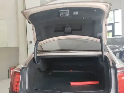 Hongqi Hongqi H9